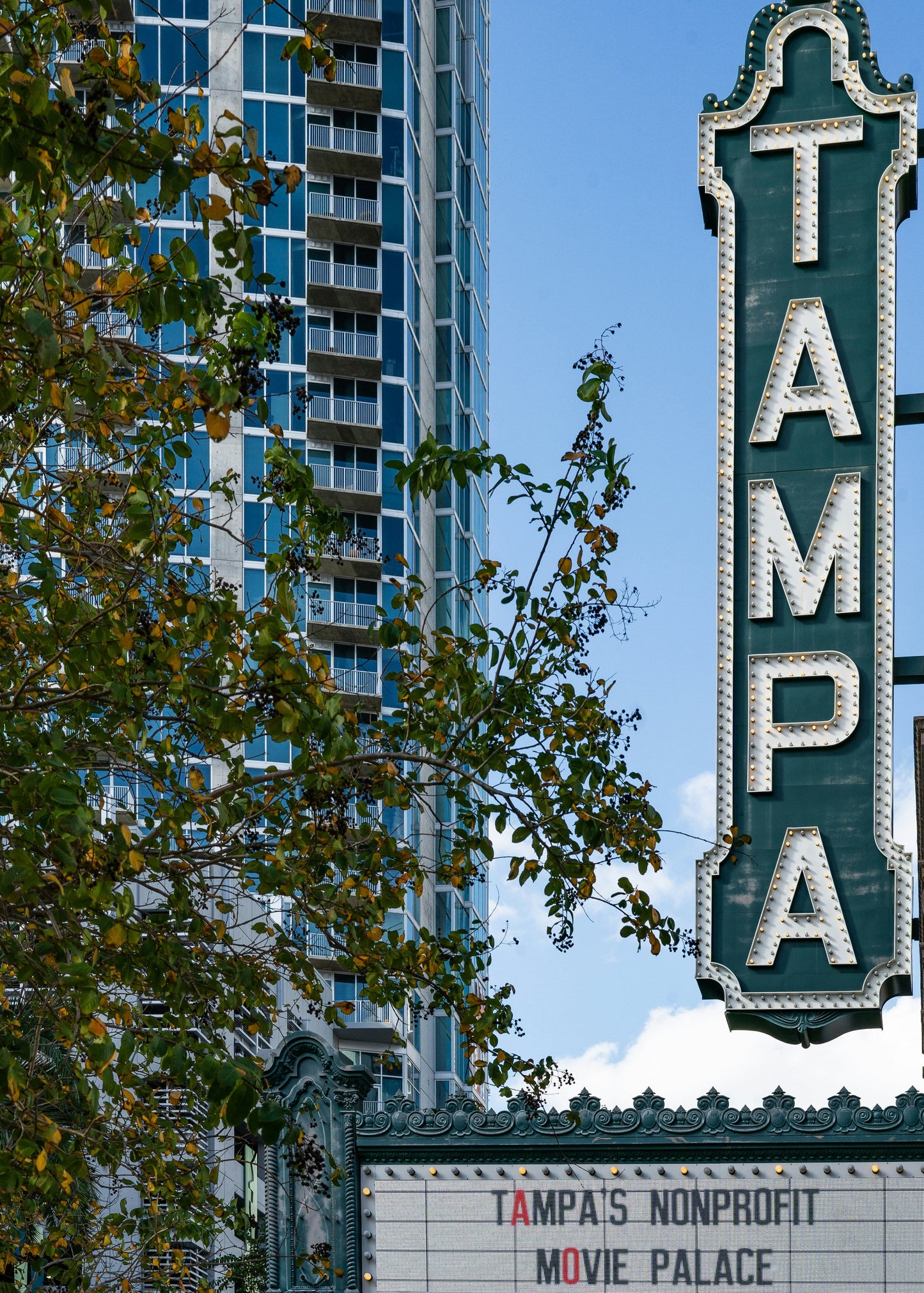 Tampa Refresh (3 days)